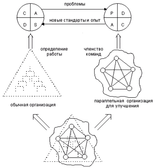 Модель Шибы